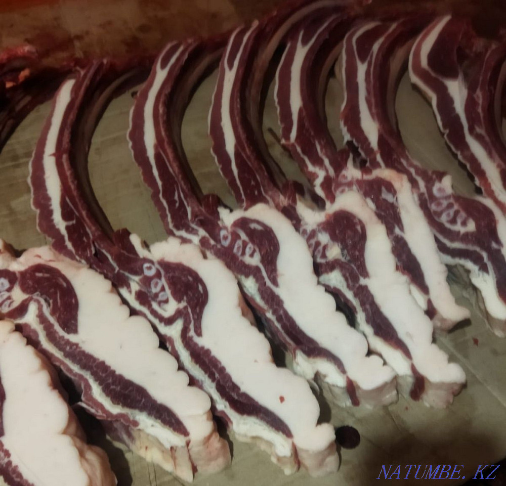 Жирные лошади 2,5 Петропавловск - изображение 1