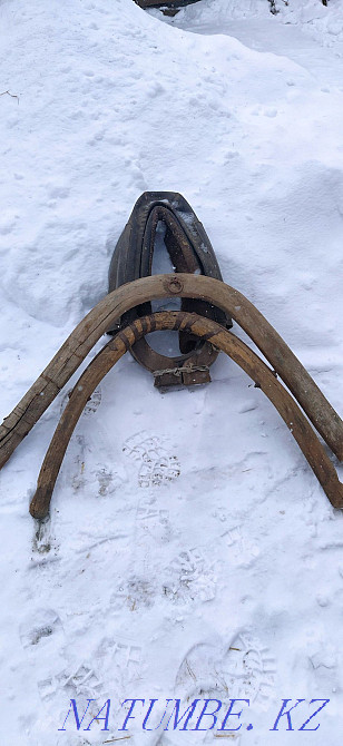 Selling everything for the horse  - photo 5