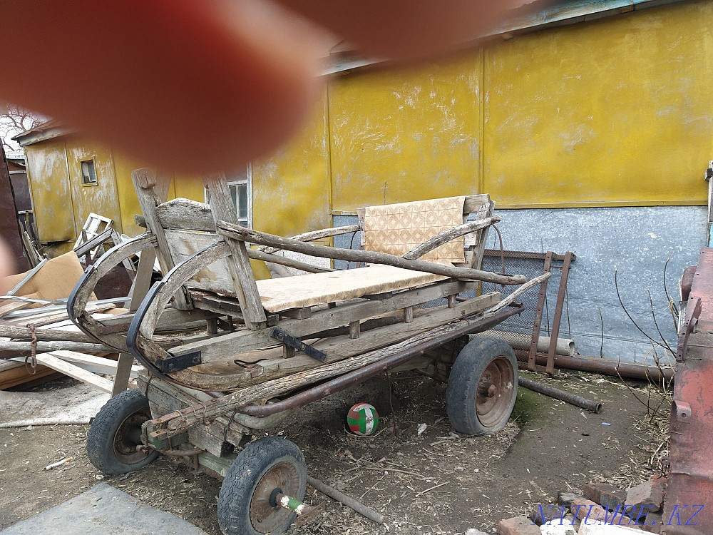 Selling everything for the horse  - photo 3