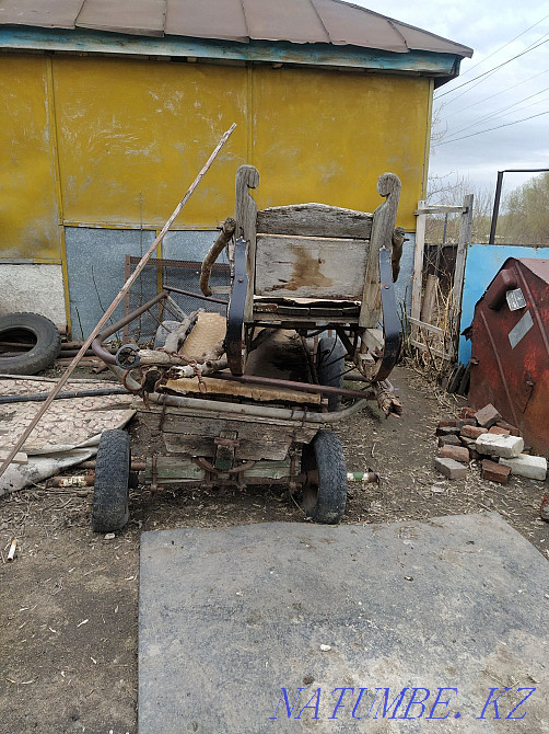 Selling everything for the horse  - photo 2