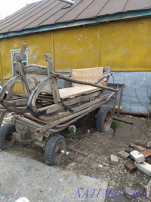 Selling everything for the horse  - photo 1