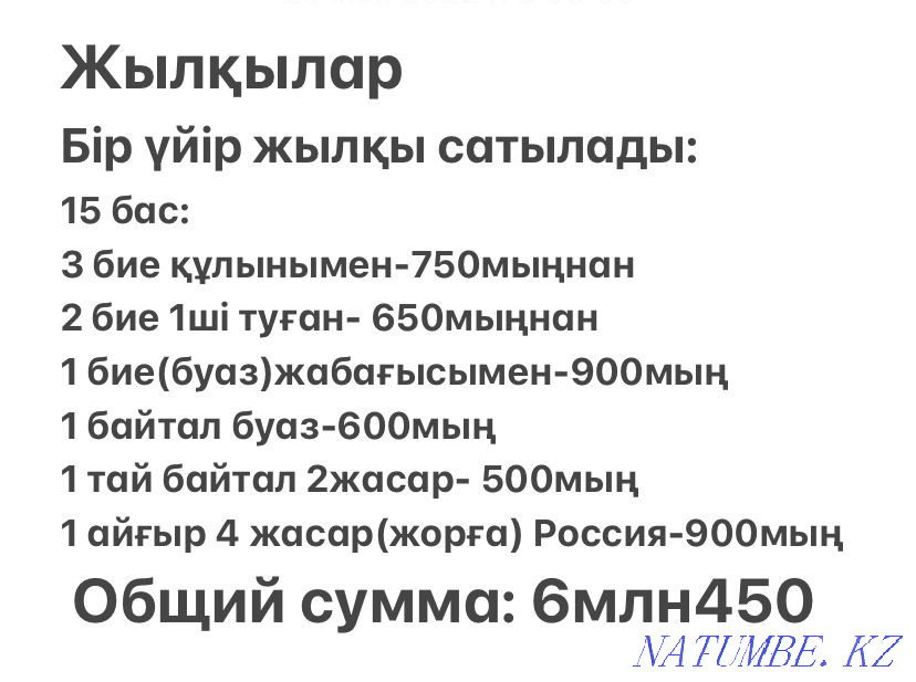 жыл?ылар оптом лошади  - изображение 1