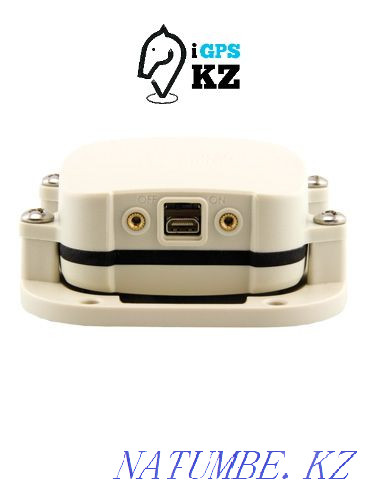 Для лошади против угона Атырау - изображение 4