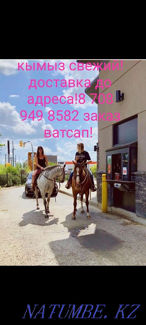 Kymyz! saumal horses! Karagandy - photo 1