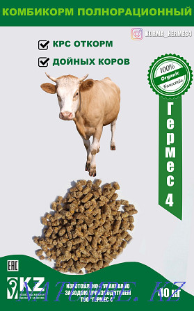 Compound feed for fattening and dairy cattle, horses, small cattle Yereymentau - photo 1