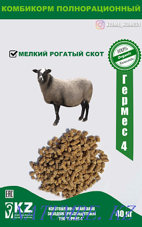 Compound feed for fattening and dairy cattle, horses, small cattle Yereymentau - photo 2