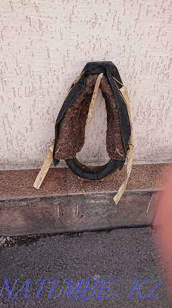 Horse collar Astana - photo 2