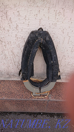 Horse collar Astana - photo 4