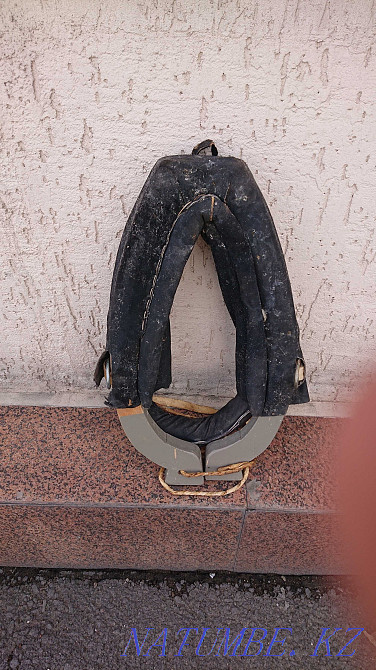 Хомут для лошади Астана - изображение 4