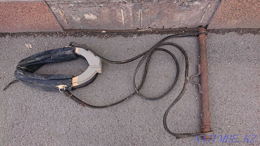 Хомут для лошади Астана - изображение 7