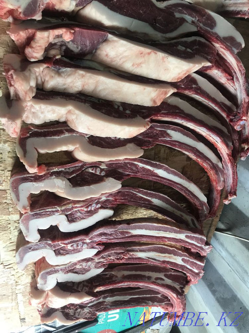 Siraktap horses for sale Petropavlovsk - photo 5