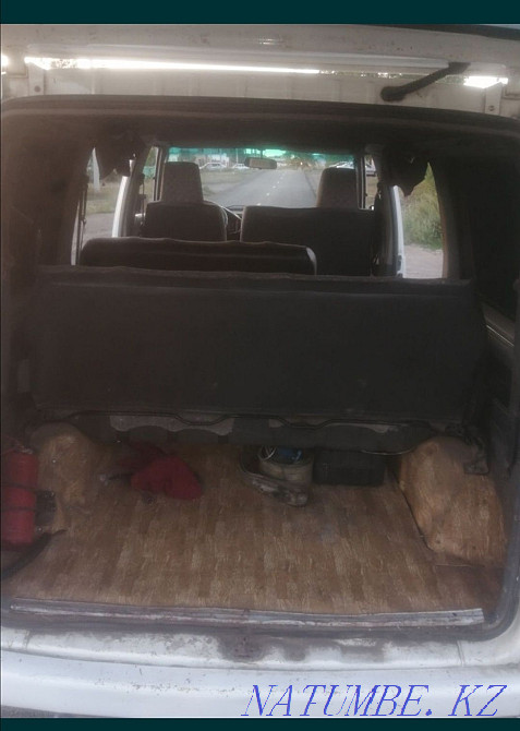 Horses. Tai - KUNAN - Aigyr. Karagandy - photo 7