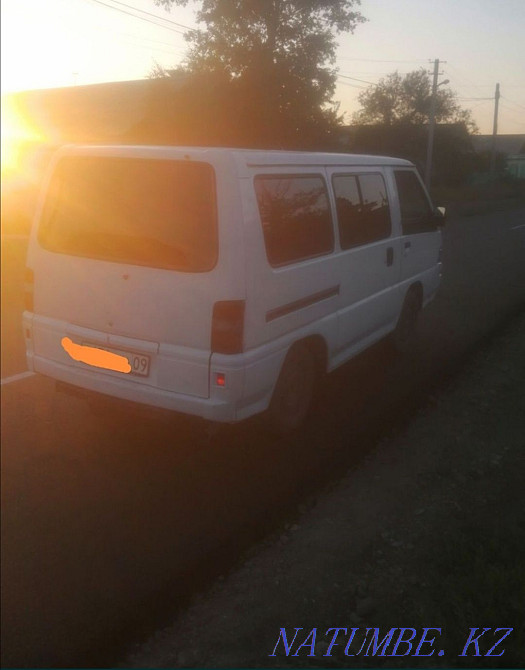 Horses. Tai - KUNAN - Aigyr. Karagandy - photo 3