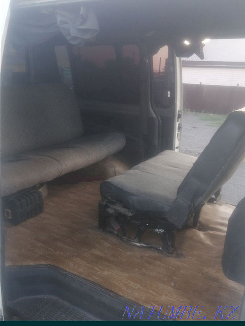 Horses. Tai - KUNAN - Aigyr. Karagandy - photo 6