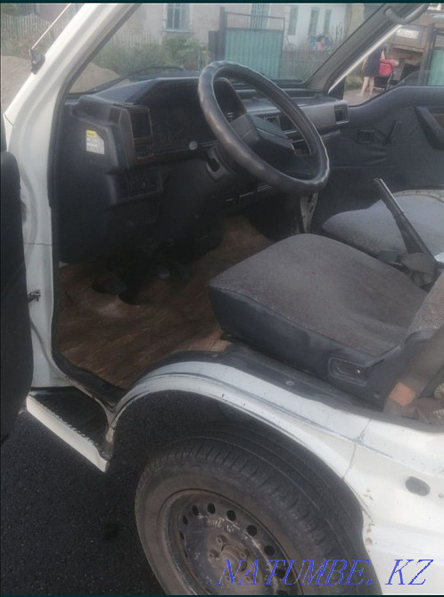 Horses. Tai - KUNAN - Aigyr. Karagandy - photo 4