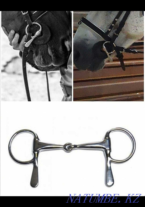 Жылқыға арналған тістеу немесе тістеу  Өскемен - изображение 1