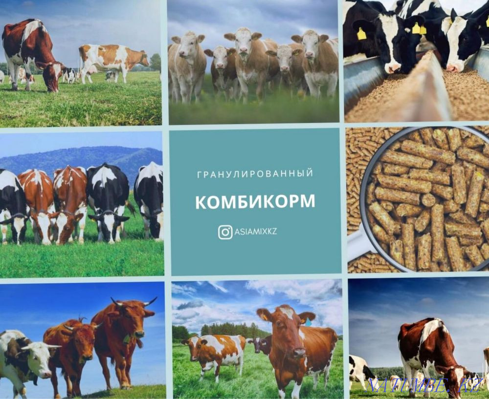 Комбикорма гранулированые для Лошади  - изображение 1