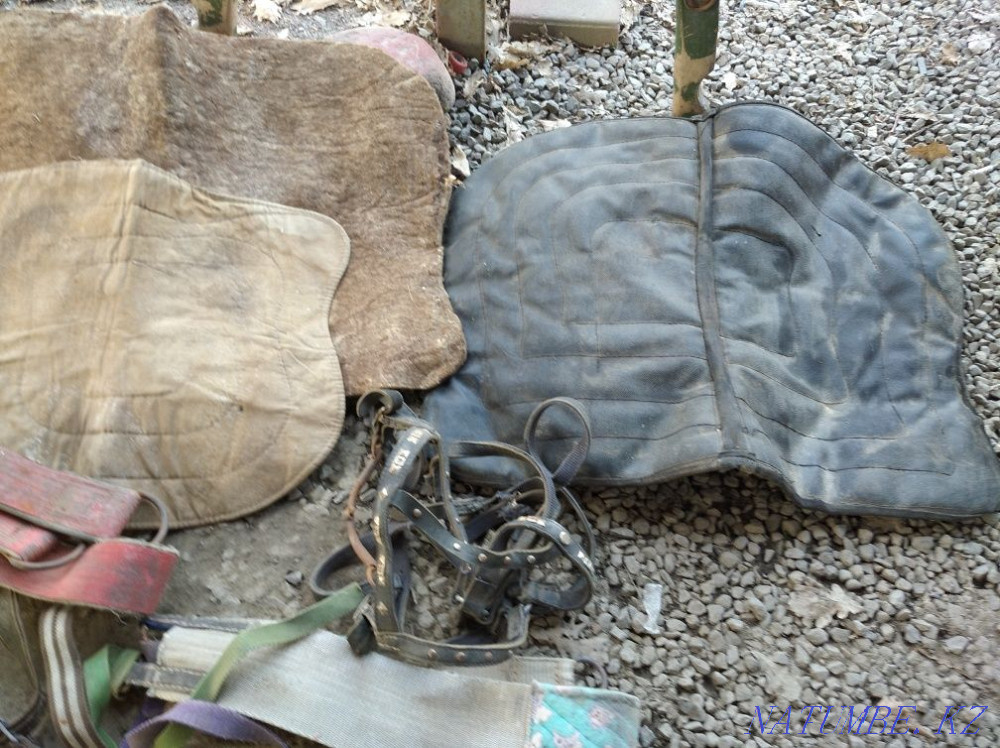 2 sets of collars for donkey and horse Qaskeleng - photo 4