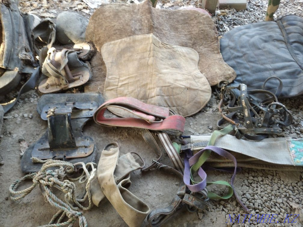 2 sets of collars for donkey and horse Qaskeleng - photo 6