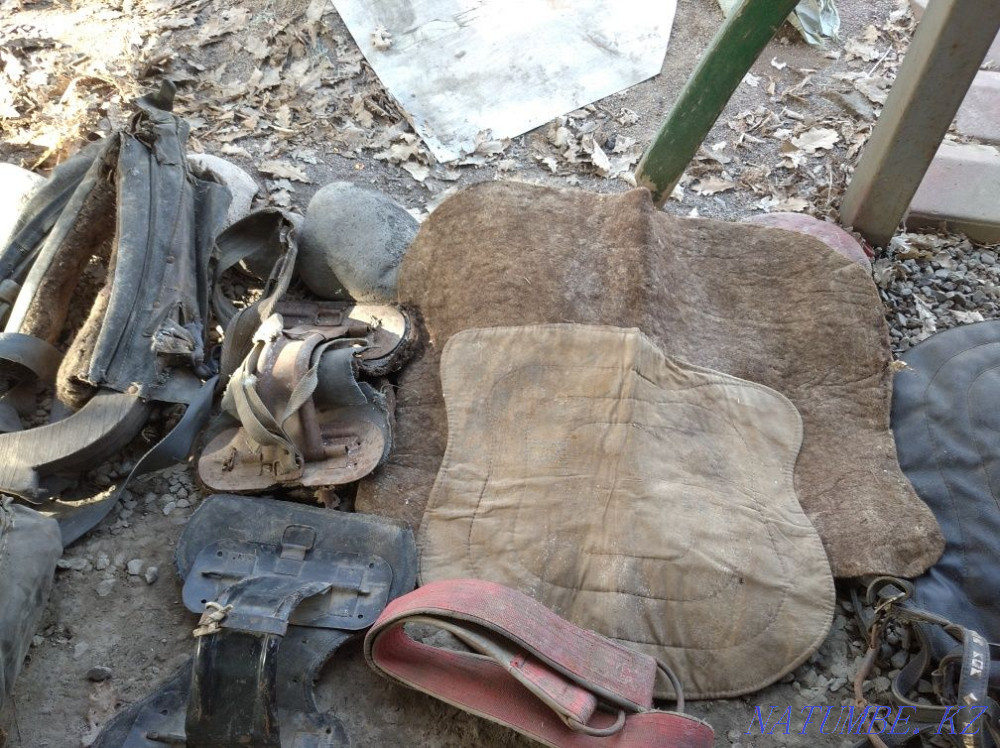 2 sets of collars for donkey and horse Qaskeleng - photo 3