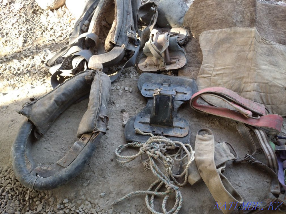 2 sets of collars for donkey and horse Qaskeleng - photo 2