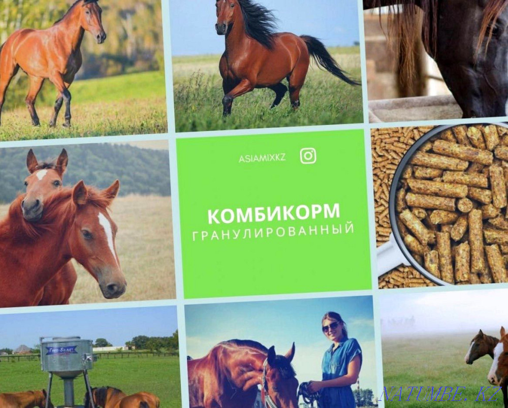 Корма для Лошади Коров Туркестан - изображение 1