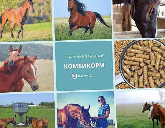 Корма для Лошади Коров Усть-Каменогорск