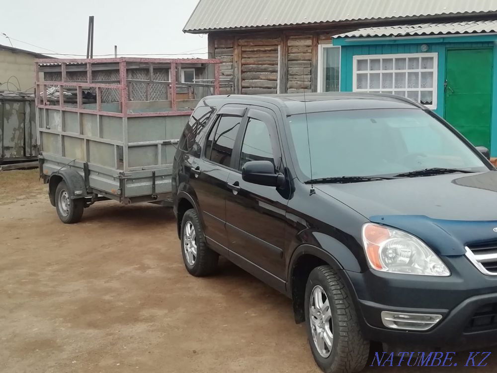 Transportation of horses Kokshetau - photo 1
