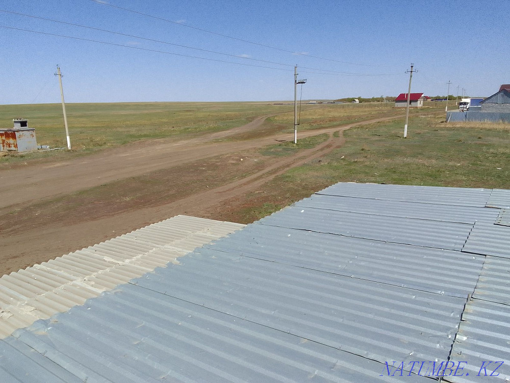 Обмен на лошадей или баранов Костанай - изображение 2