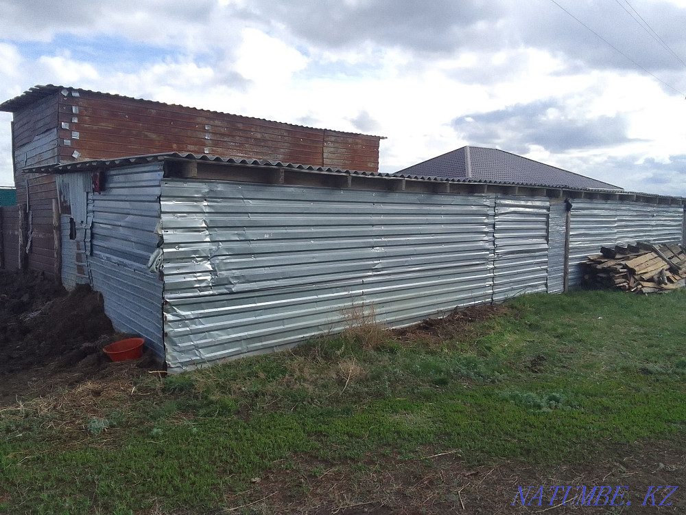 Обмен на лошадей или баранов Костанай - изображение 5