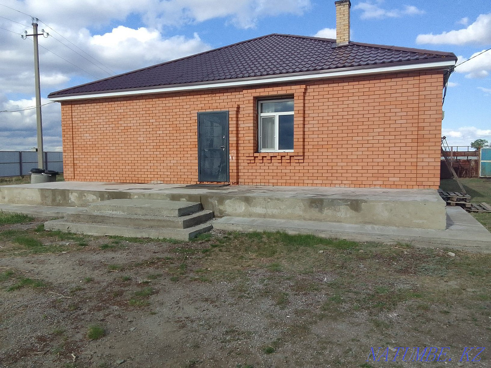 Обмен на лошадей или баранов Костанай - изображение 1