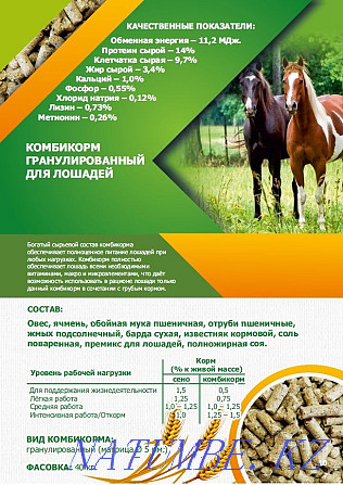 Compound feed for horses Kostanay - photo 1