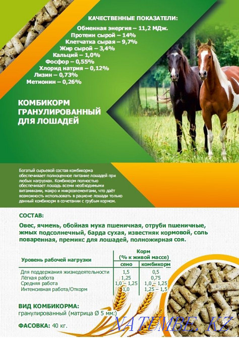 Compound feed for horses Kostanay - photo 1