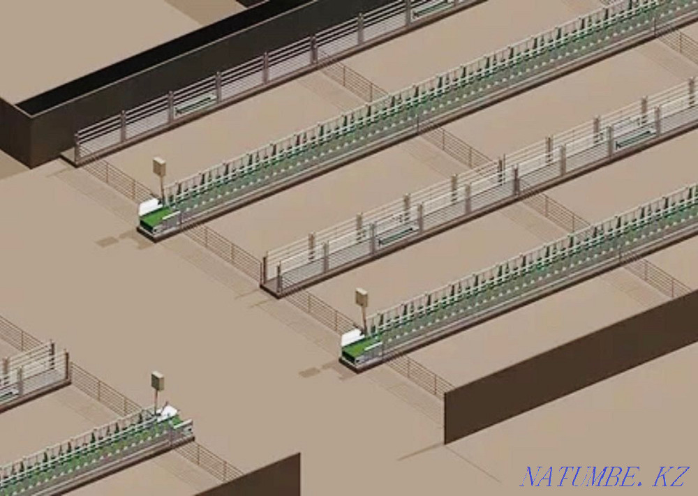 Овцы и козы: проектирование овчарни, фермы для МРС под ключ Алматы - изображение 2