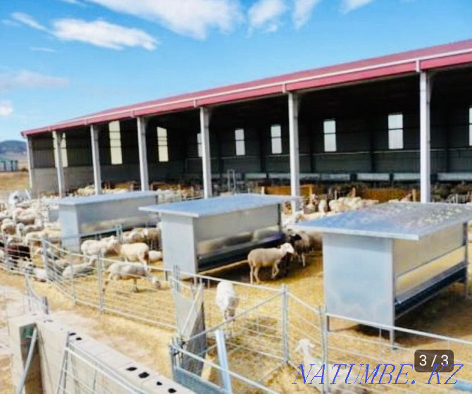 Sheep goats: Closed feeders for sheep and goats Shipmaster-Kazakhstan  - photo 3