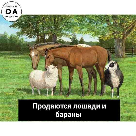 Лошадь, жеребенок, баран и овца 