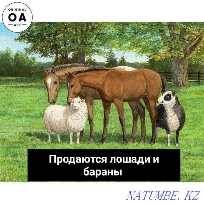 Лошадь, жеребенок, баран и овца  - изображение 1