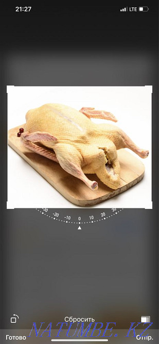 Продаю утку Алматы - изображение 1