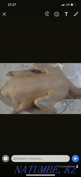 Продаю утку Алматы - изображение 2