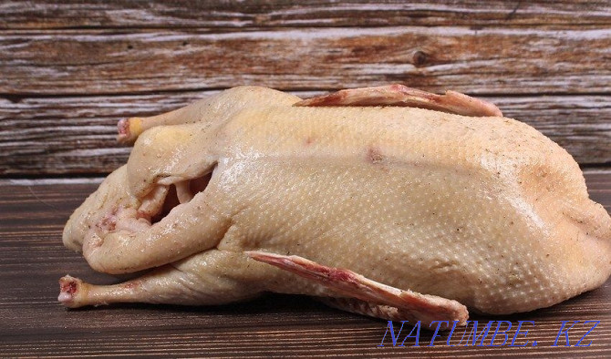 Domestic duck meat Shchuchinsk - photo 1
