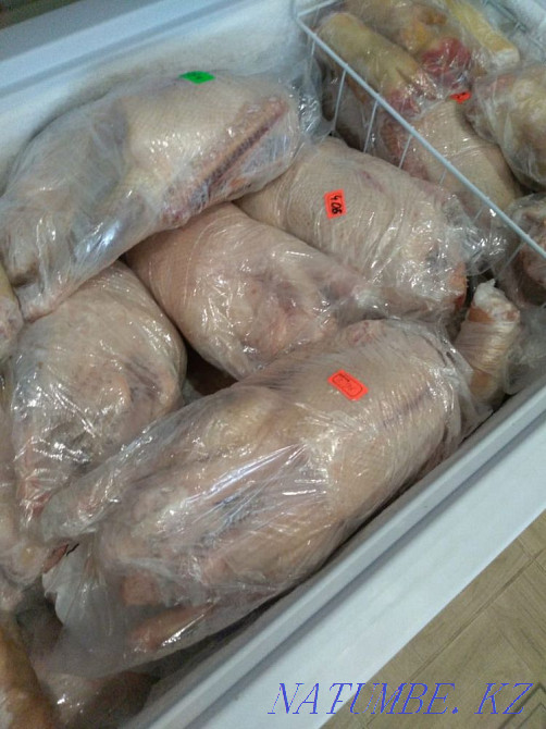 goose meat Almaty - photo 3