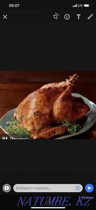 Мясо индейки оптом и в розницу Алматы - изображение 2