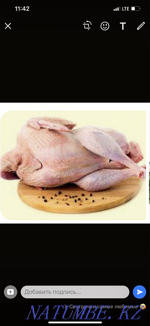 Өте дәмді жас күркетауық  Алматы - изображение 1