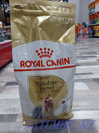 Food for the Yorkshire Terrier Astana - photo 1