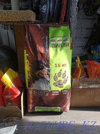DILLY dry food for adult dogs Taldykorgan - photo 2