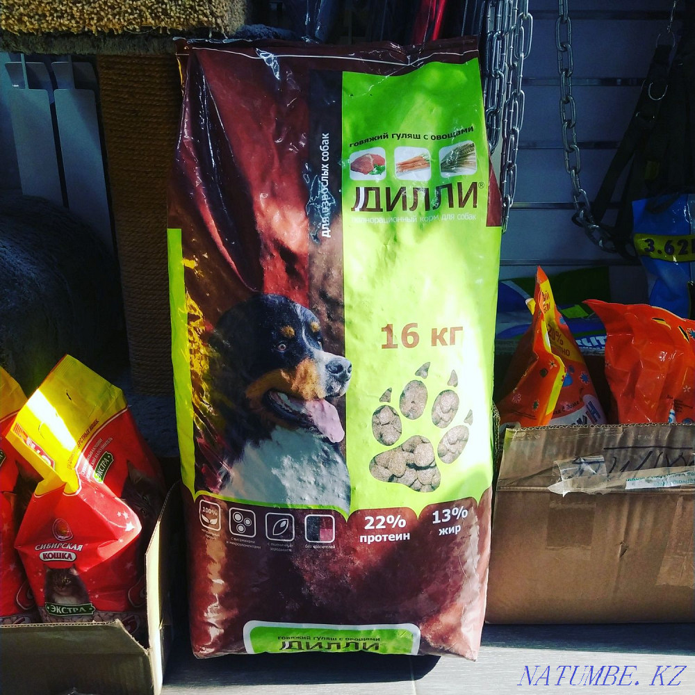 DILLY dry food for adult dogs Taldykorgan - photo 1