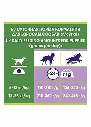 Корм Dog Chow Agult Lamb Ягненок и рис 14 кг Almaty