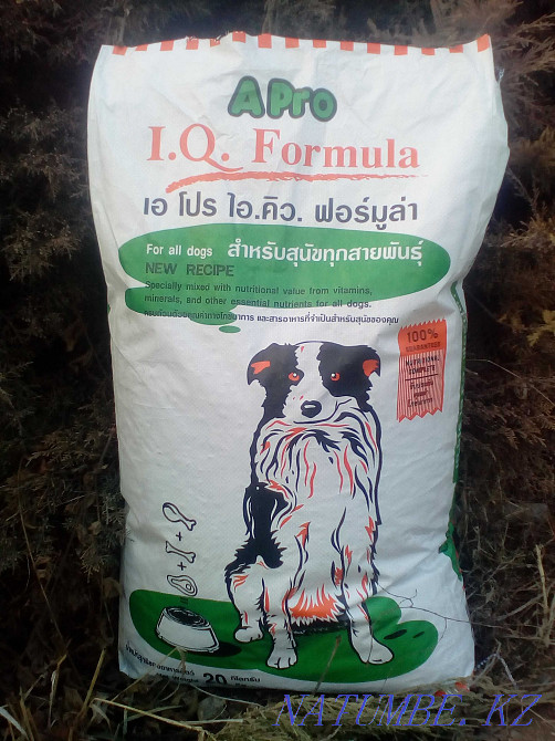 Сухой корм для собак Алматы - изображение 1
