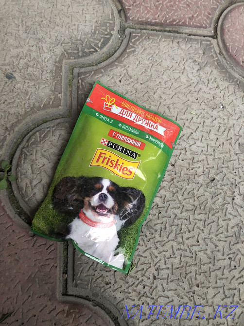 Dog food Туздыбастау - photo 3