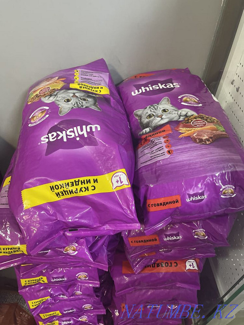 Whiskas 5 кг корм для кошек вискас Алматы - изображение 3